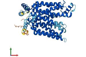Protein Structure (PS) image for Solute Carrier Family 2 (Facilitated Glucose Transporter), Member 3 (SLC2A3) (AA 1-496) protein (His tag) (ABIN7554054)