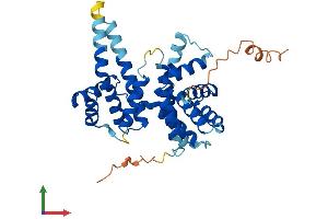 AlphaFold protein structure predicition of Human Recombinant CNTD1 Protein, UniprotID Q8N815