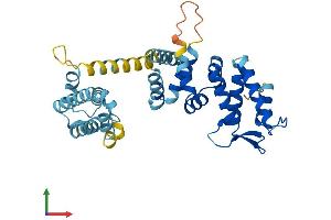 AlphaFold protein structure predicition of Mouse Recombinant Fancf Protein, UniprotID E9Q5Z5 (FANCF Protein (AA 1-343) (His tag))