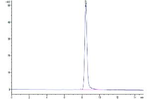 The purity of Human CD228 is greater than 95 % as determined by SEC-HPLC. (MFI2 Protein (AA 20-709) (His tag))