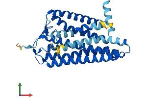 AlphaFold protein structure predicition of Human Recombinant OR52A1 Protein, UniprotID Q9UKL2 (OR52A1 Protein (AA 1-312) (His tag))