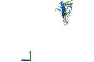 AlphaFold protein structure predicition of Human Recombinant TMEM223 Protein, UniprotID A0PJW6 (TMEM223 Protein (AA 1-202) (His tag))