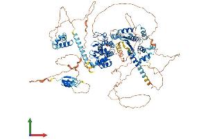 AlphaFold protein structure predicition of Mouse Recombinant Ankle2 Protein, UniprotID Q6P1H6