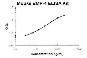 Mouse BMP-4 PicoKine ELISA Kit standard curve