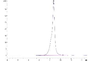 Size-exclusion chromatography-High Pressure Liquid Chromatography (SEC-HPLC) image for CD1a (CD1a) (AA 19-300) protein (His tag) (ABIN7274279)