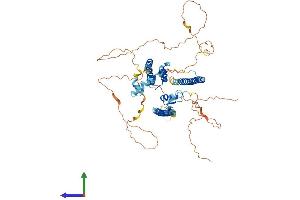Protein Structure (PS) image for Core-binding Factor, Runt Domain, alpha Subunit 2, Translocated To, 2 (CBFA2T2) (AA 1-594) protein (His tag) (ABIN7562544)