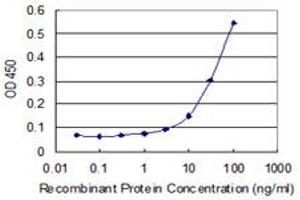 Detection limit for recombinant GST tagged RSPH1 is 3 ng/ml as a capture antibody. (RSPH1 antibody  (AA 200-309))