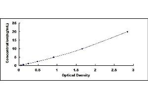 Typical standard curve (TNFAIP2 ELISA Kit)