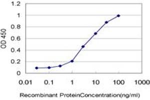 Detection limit for recombinant GST tagged CKS2 is approximately 0. (CKS2 antibody  (AA 1-79))