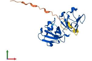 Protein Structure (PS) image for Crystallin, beta A1 (CRYBA1) (AA 1-215) protein (His tag) (ABIN7546746)