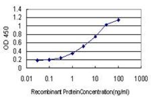 Detection limit for recombinant GST tagged HOXA7 is approximately 0. (HOXA7 antibody  (AA 58-112))