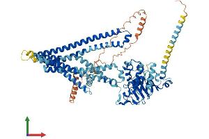 AlphaFold protein structure predicition of Mouse Recombinant Abcb7 Protein, UniprotID Q61102