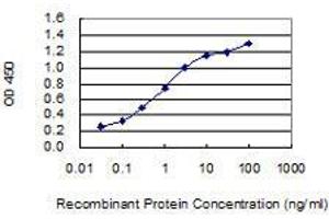 Detection limit for recombinant GST tagged ECT2 is 0. (ECT2 antibody  (AA 46-145))