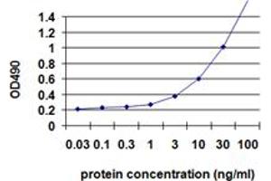 Sandwich ELISA detection sensitivity ranging from 1 ng/mL to 100 ng/mL. (IL1B (Human) Matched Antibody Pair)