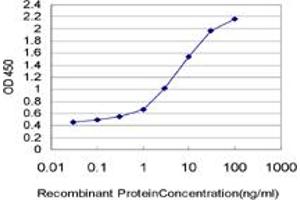 Detection limit for recombinant GST tagged FGL1 is approximately 0. (FGL1 antibody  (AA 19-312))