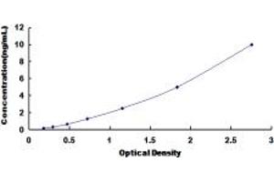 Typical standard curve (Stanniocalcin 1 ELISA Kit)