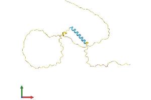AlphaFold protein structure predicition of Human Recombinant TCEAL6 Protein, UniprotID Q6IPX3 (TCEAL6 Protein (AA 1-200) (His tag))
