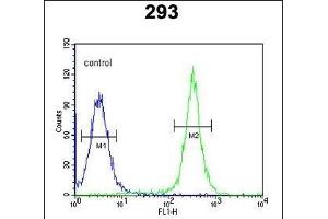 GSD Antibody (N-term) (ABIN651081 and ABIN2840063) flow cytometric analysis of 293 cells (right histogram) compared to a negative control cell (left histogram). (Gasdermin A antibody  (N-Term))
