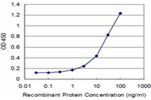 Detection limit for recombinant GST tagged MYL6 is approximately 1ng/ml as a capture antibody. (MYL6 antibody  (AA 1-100))