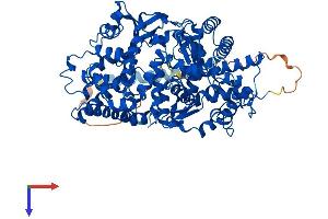AlphaFold protein structure predicition of Human Recombinant MMEL1 Protein, UniprotID Q495T6 (MMEL1 Protein (AA 1-779) (His tag))