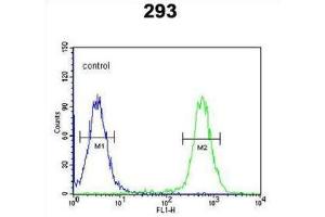 Flow Cytometry (FACS) image for anti-Chondroitin Sulfate N-Acetylgalactosaminyltransferase 2 (CSGALNACT2) antibody (ABIN3003905) (CSGALNACT2 antibody)