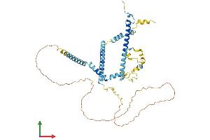 AlphaFold protein structure predicition of Human Recombinant CWC25 Protein, UniprotID Q9NXE8