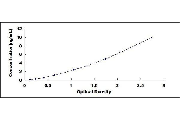 Annexin A3 ELISA Kit