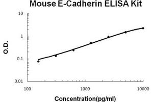 Mouse E-Cadherin PicoKine ELISA Kit standard curve