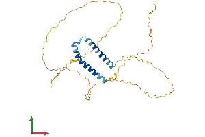 AlphaFold protein structure predicition of Human Recombinant FRG2B Protein, UniprotID Q96QU4 (FRG2B Protein (AA 1-278) (His tag))
