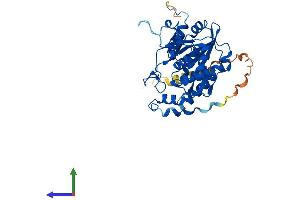 AlphaFold protein structure predicition of Human Recombinant B3GNT3 Protein, UniprotID Q9Y2A9