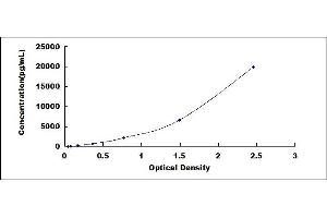 Typical standard curve (IgA Secretory Component ELISA Kit)