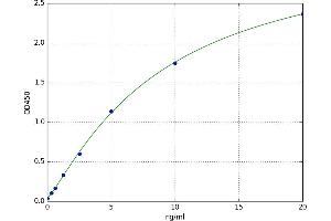 Wingless-Type MMTV Integration Site Family, Member 3A (WNT3A) ELISA Kit