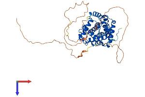 Cyclin A1 Protein (CCNA1) (AA 1-421) (His tag)