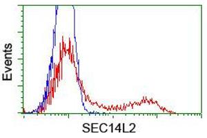 Image no. 3 for anti-SEC14-Like 2 (SEC14L2) antibody (ABIN1500852) (SEC14L2 antibody)