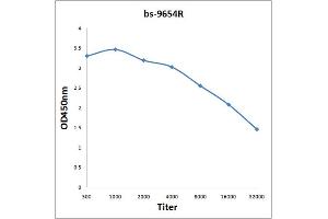 Antigen: 2 µg/100 µL  Primary: Antiserum, 1:500, 1:1000, 1:2000, 1:4000, 1:8000, 1:16000, 1:32000;  Secondary: HRP conjugated Rabbit Anti-Goat IgG at 1: 5000;  TMB staining Read the data in Microplate Reader by 450nm. (14-3-3 Pan antibody)