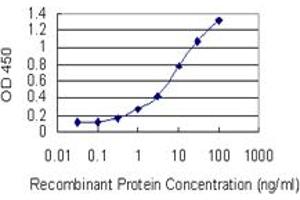 Detection limit for recombinant GST tagged GLRX5 is 0. (GLRX5 antibody  (AA 1-157))