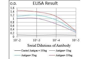 Black line: Control Antigen (100 ng), Purple line: Antigen(10 ng), Blue line: Antigen (50 ng), Red line: Antigen (100 ng), (NRF2 antibody  (AA 356-589))