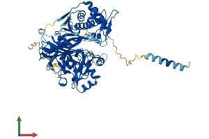 AlphaFold protein structure predicition of Human Recombinant GK Protein, UniprotID P32189