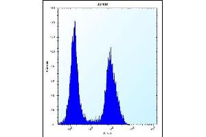 PRSS7 Antibody (C-term ) (ABIN656189 and ABIN2845515) flow cytometric analysis of Jurkat cells (right histogram) compared to a negative control cell (left histogram). (TMPRSS15 antibody  (C-Term))