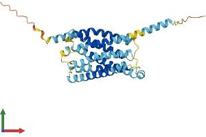 AlphaFold protein structure predicition of Mouse Recombinant Mrgprb3 Protein, UniprotID Q91ZC1 (Mrgprb3 Protein (AA 1-312) (His tag))