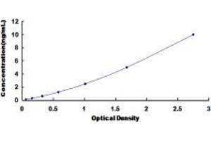 Typical standard curve (DPAGT1 ELISA Kit)