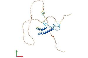 Protein Structure (PS) image for Sprouty Homolog 1, Antagonist of FGF Signaling (SPRY1) (AA 1-319) protein (His tag) (ABIN7546436)