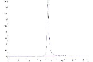 The purity of Biotinylated SARS-COV-2 Spike RBD is greater than 95 % as determined by SEC-HPLC.