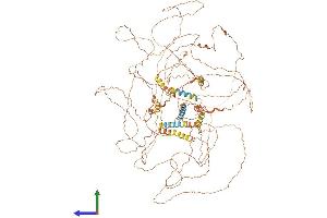 AlphaFold protein structure predicition of Human Recombinant SPATA31C1 Protein, UniprotID P0DKV0 (SPATA31C1 Protein (AA 1-1188) (His tag))