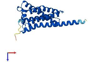 AlphaFold protein structure predicition of Human Recombinant EBPL Protein, UniprotID Q9BY08 (EBPL Protein (AA 1-206) (His tag))