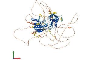 AlphaFold protein structure predicition of Human Recombinant KANSL3 Protein, UniprotID Q9P2N6