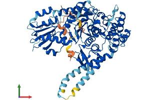 AlphaFold protein structure predicition of Human Recombinant STXBP3 Protein, UniprotID O00186
