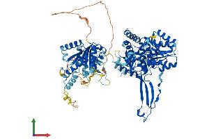 AlphaFold protein structure predicition of Human Recombinant ALDH18A1 Protein, UniprotID P54886