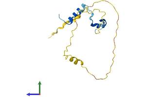 AlphaFold protein structure predicition of Human Recombinant PNRC2 Protein, UniprotID Q9NPJ4 (PNRC2 Protein (AA 1-139) (His tag))