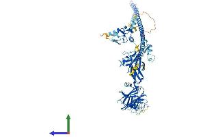 Protein Structure (PS) image for Midline 1 (MID1) (AA 1-667) protein (His tag) (ABIN7544714)